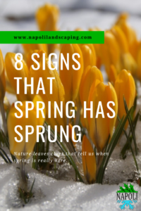 8 Signs That Spring Is Finally Here