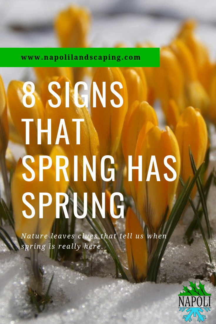 8 Signs That Spring Is Finally Here